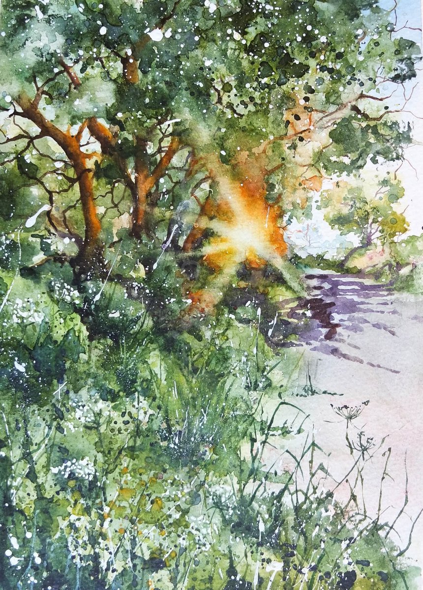Elidanza's tweet image. The lanes in Devon are waking up, cow parsley is beginning to flower and froth up the hedgerows. Spring has Sprung!

Happy Wednesday x

#Watercolour #Devon #Spring #landscape #art