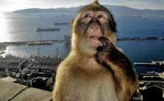 QuantofApple tweet media