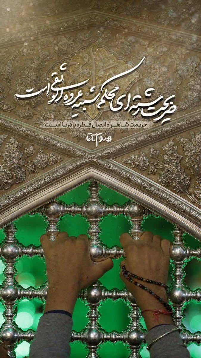 Mis_zargar tweet media