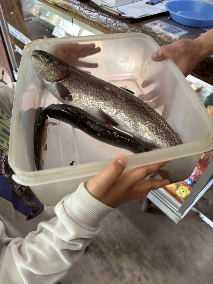 釣りしてきた🎣
刺身と塩焼き、唐揚げにして貰った😋
美味しかった🙌