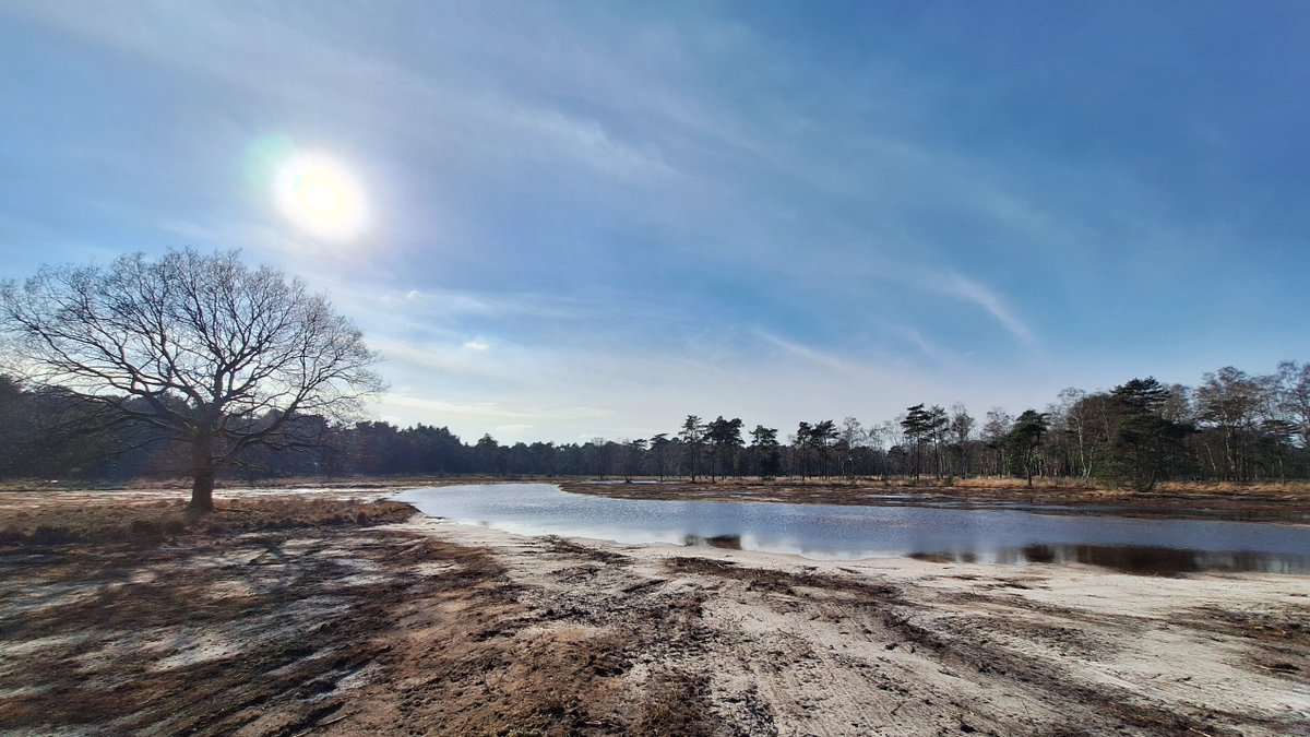 Provincie Noord-Brabant tweet media