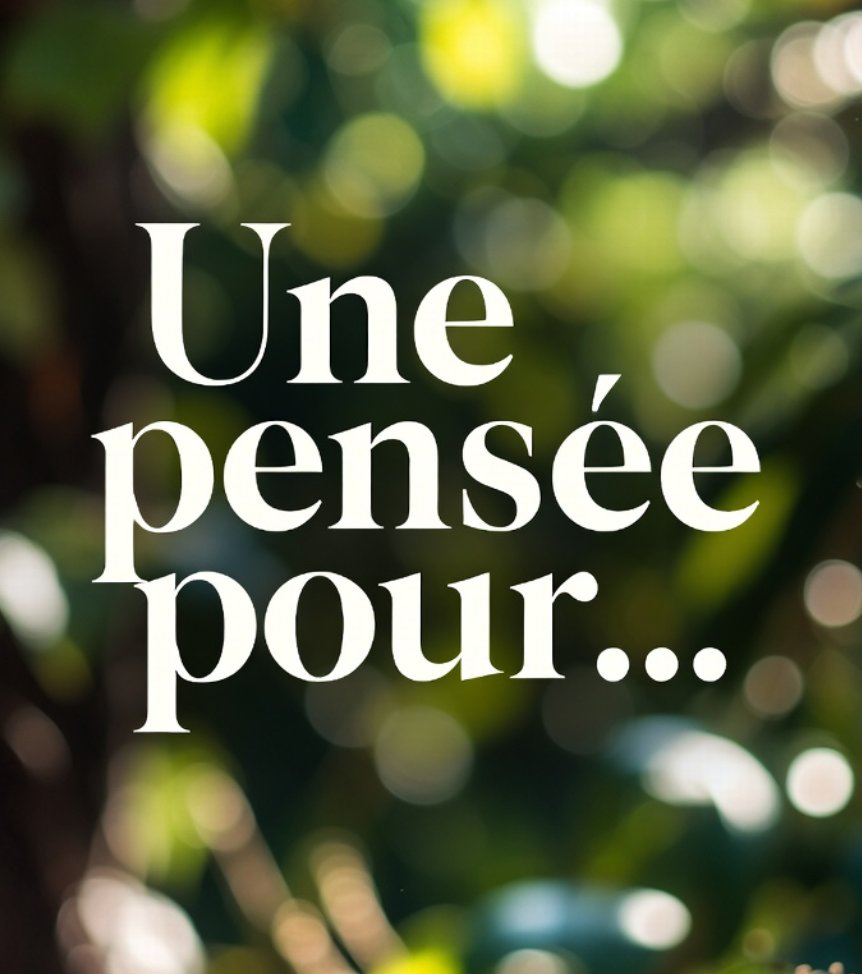 Médias Infos tweet media