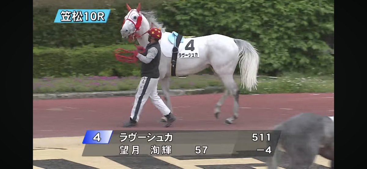 ぽんちゃん tweet media