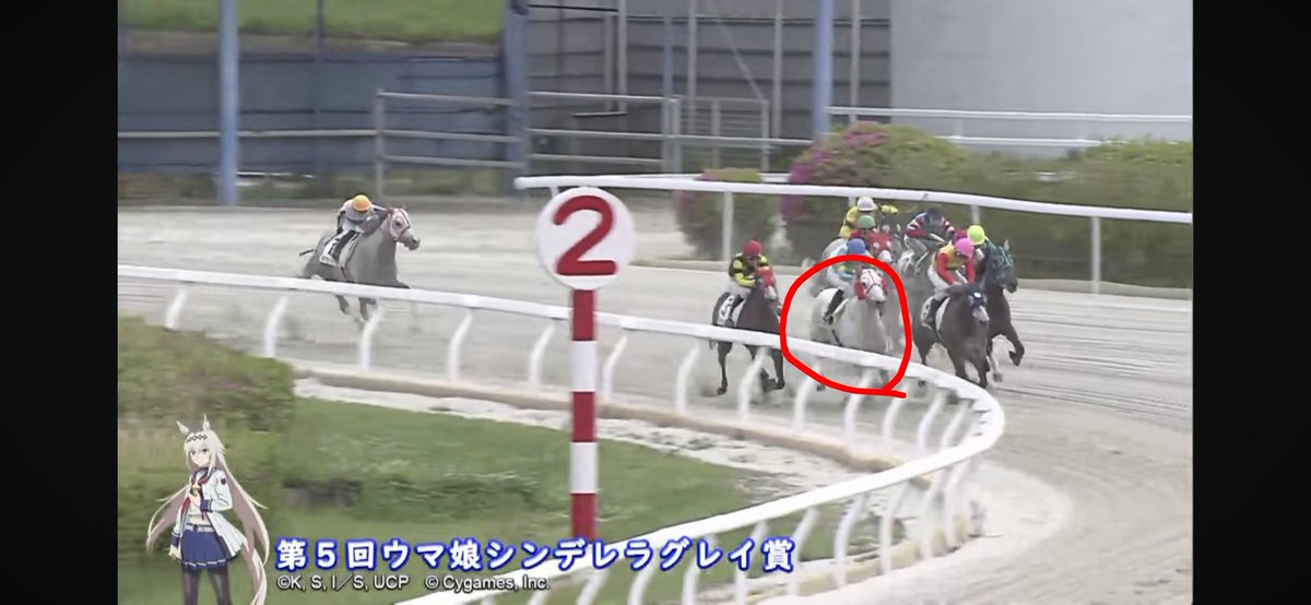 ぽんちゃん tweet media