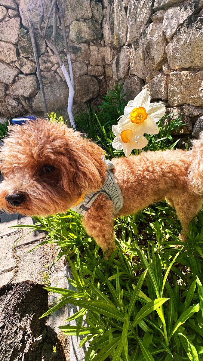 EⓂ️RE tweet media