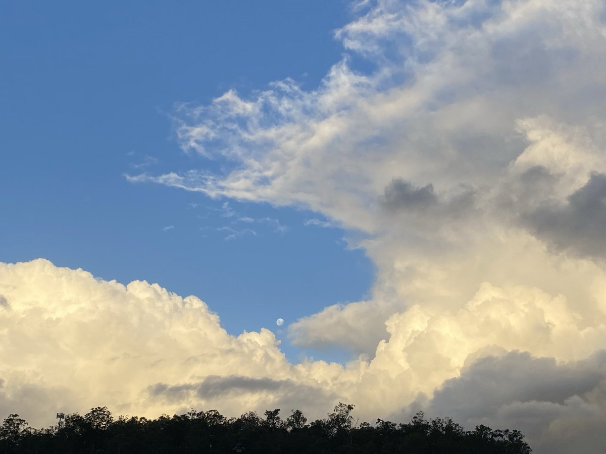 Nadia 🌙 tweet media