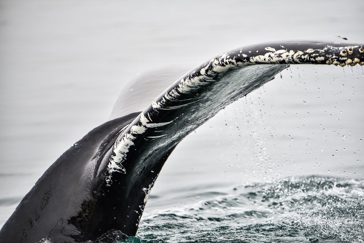 지아_thetraveller tweet media