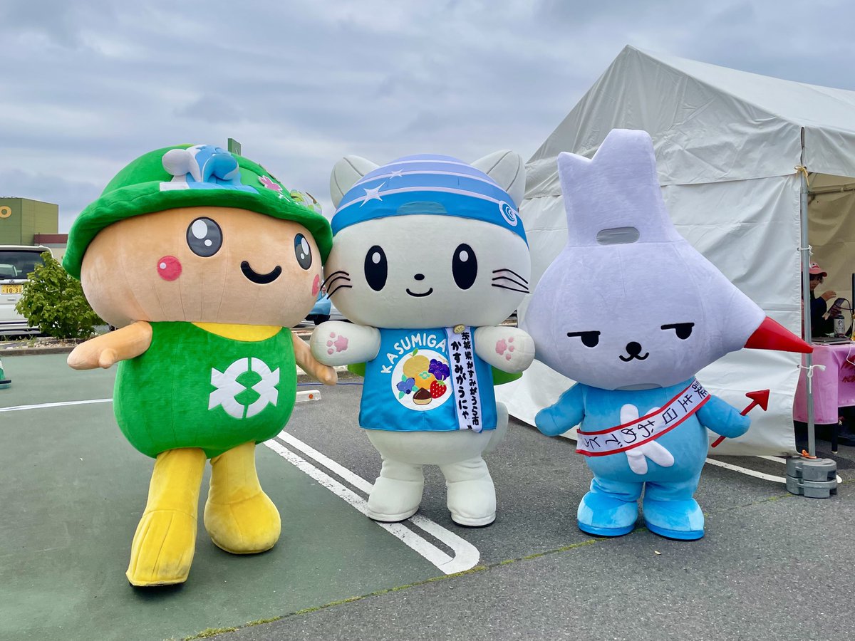 カミスココくん tweet media