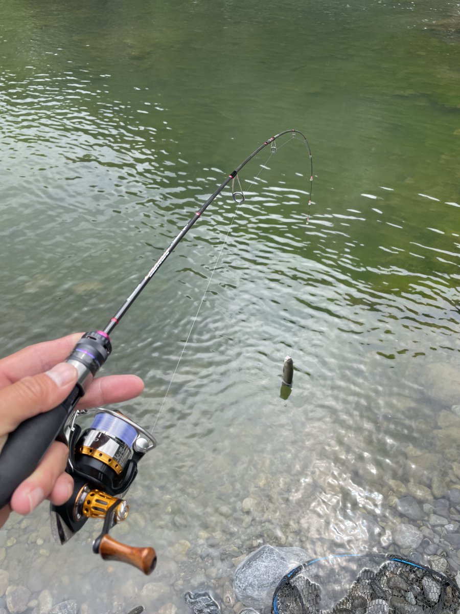 sHoAGKW1's tweet image. 癒しの奥多摩FCにて👍

ひたすらマイクロ＆ミノーのローテ。
餌釣り場は満員…セカンドポンドは僕1人😅

Banshee.S502ULに鱒の糸ソフト0.25号がメイン。サタン0.65、リベロ0.6、FTS0.5で１日やり通せます。

#AALGLATT
#MajorCraft
#SUNLINE