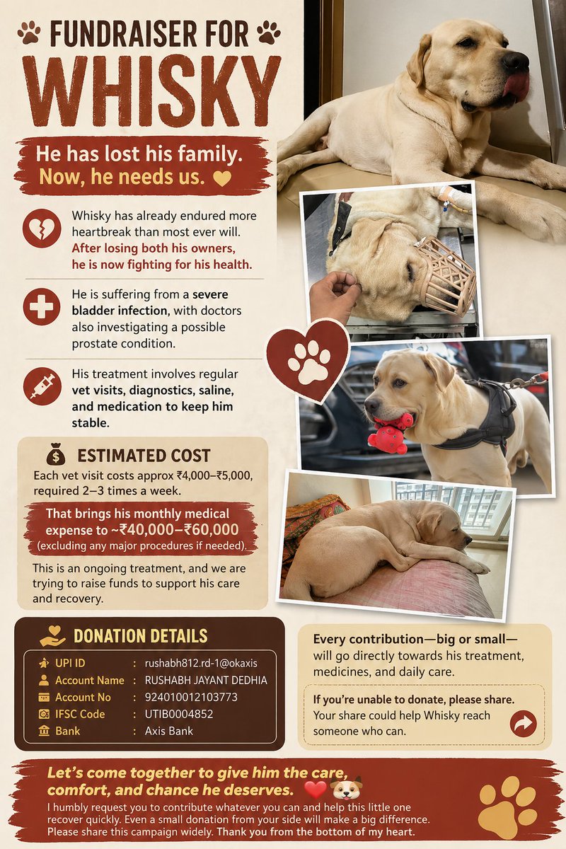 SnooopSnoopy's tweet image. Whisky lost the only family he ever knew.
Now he’s fighting to stay alive.

He needs ongoing treatment just to survive.
If you can, please help. If not, please share.

#India #Dogs #DonationAppeal #SaveIndianDogs #Mumbai
