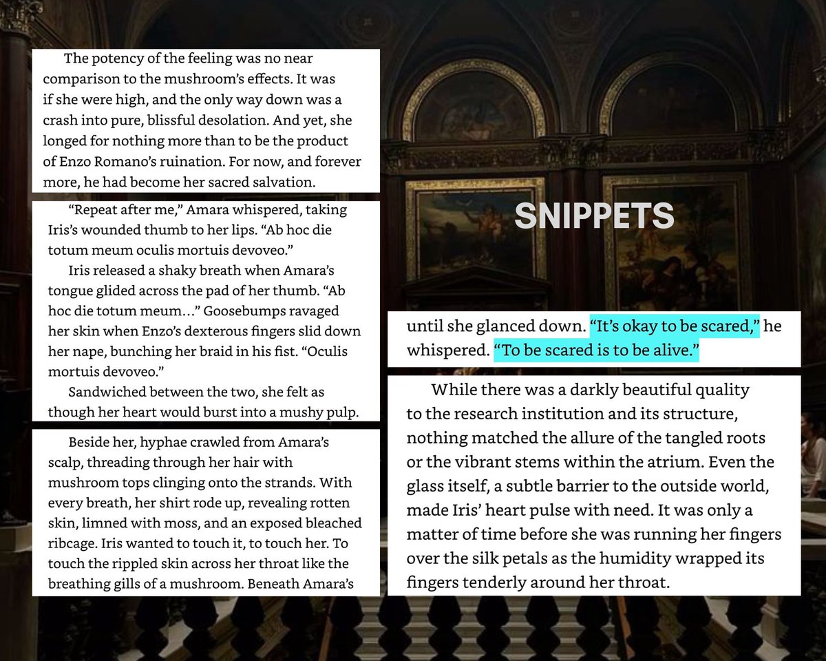 JD is querying tweet media