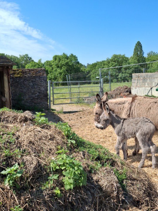 Angers jardins tweet media