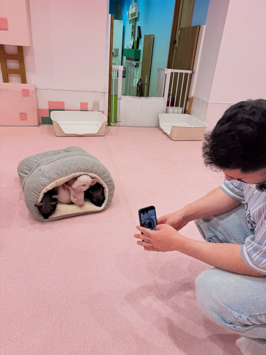 ayisigii24's tweet image. Bu fotoğrafa düştüm sebebini bende bilmiyorum
#elsed