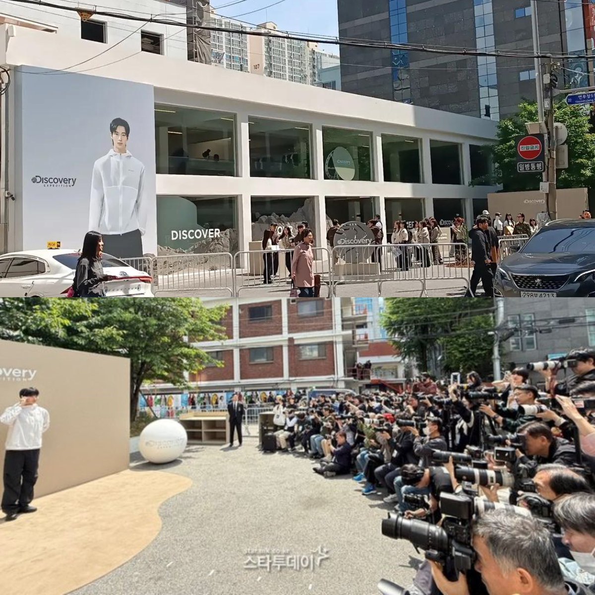 🐞📮 tweet media