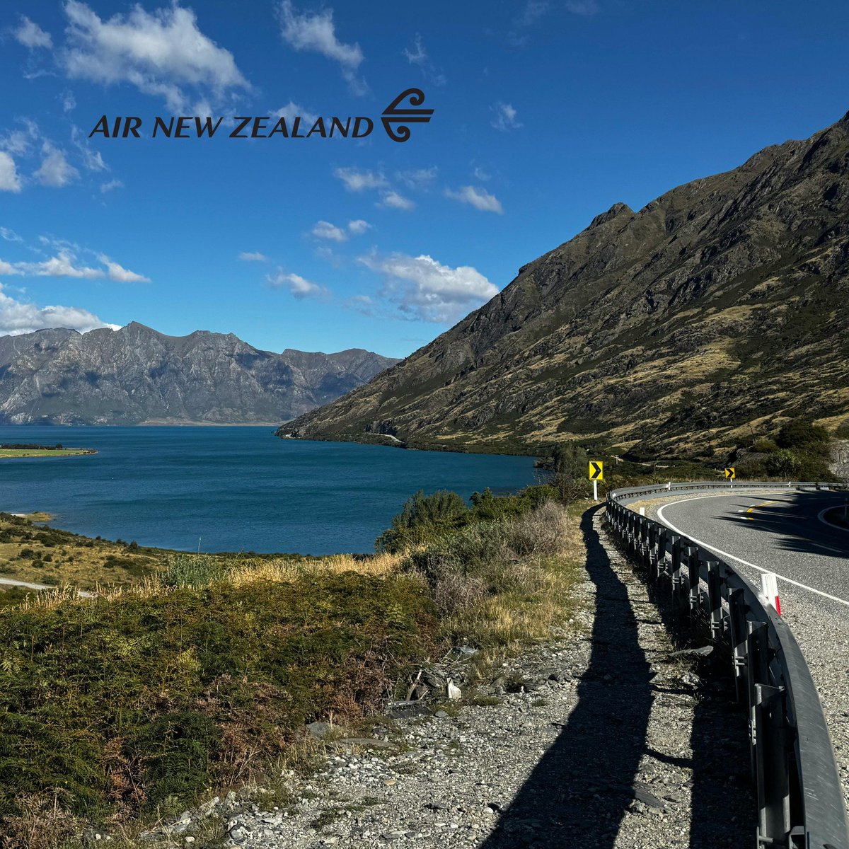 API_Co_Ltd's tweet image. ถ้าพูดถึง Road Trip ในชีวิตสักครั้ง 🚗
“นิวซีแลนด์” คือคำตอบที่ต้องมีในลิสต์
บินจากกรุงเทพฯ สู่ Christchurch กับ Air New Zealand  แล้วออกเดินทางบนถนนสายธรรมชาติของเกาะใต้
ขับรถไปเรื่อยๆ จะเจอทั้งภูเขา ทะเลสาบสีฟ้าใส และวิวที่เหมือนหลุดไปอีกโลก ✨

#newzealand  #roadtrip