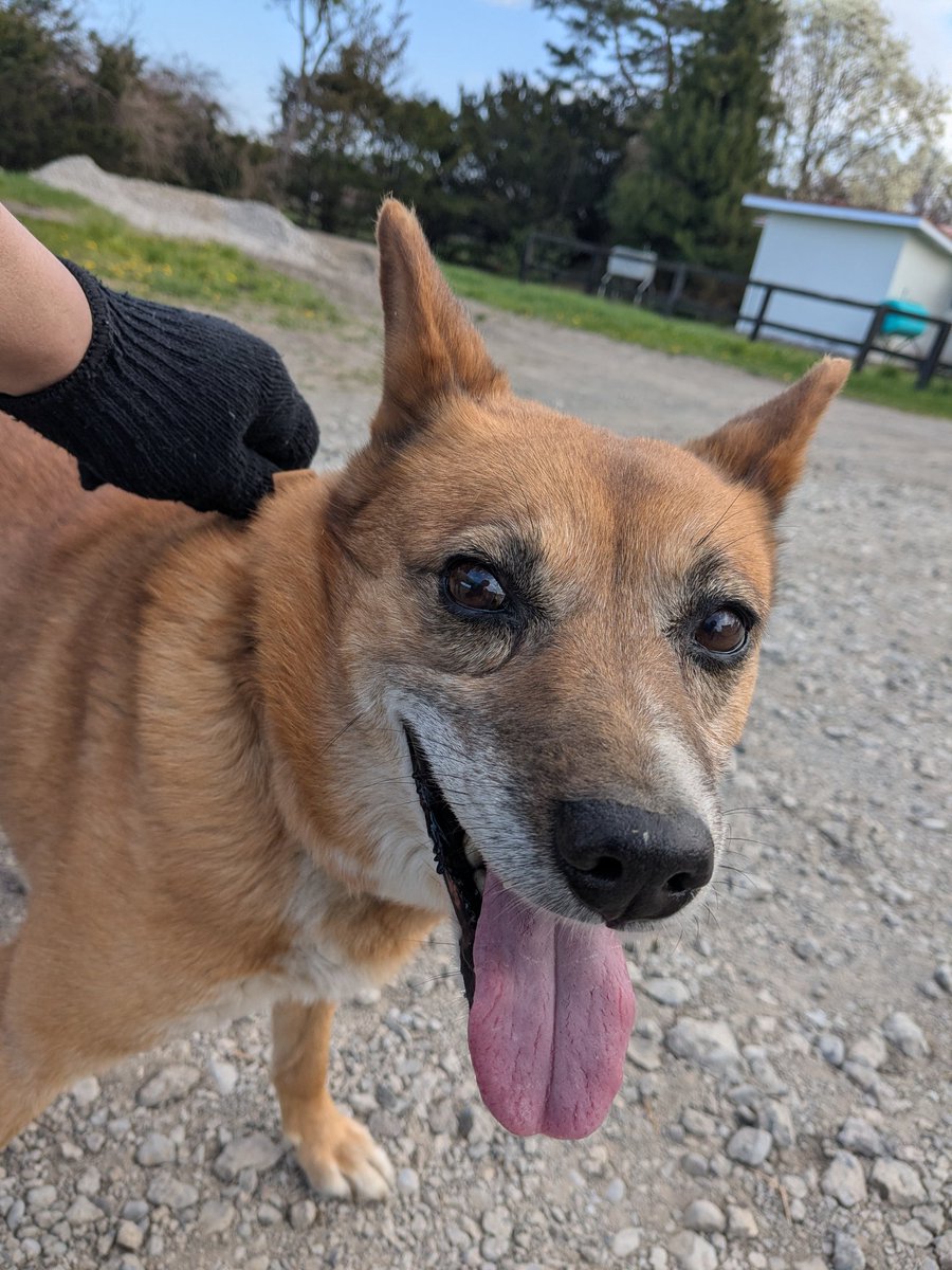 Yuto Taniguchi / Afleet Farm tweet media