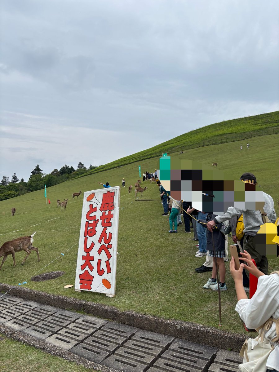 め tweet media