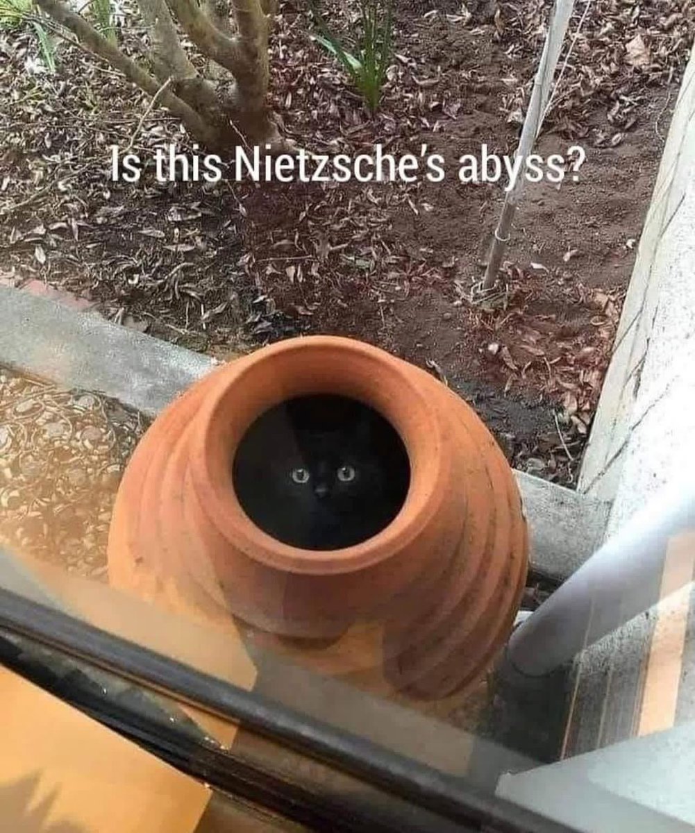 Pablo Memescobar 🐈 tweet media