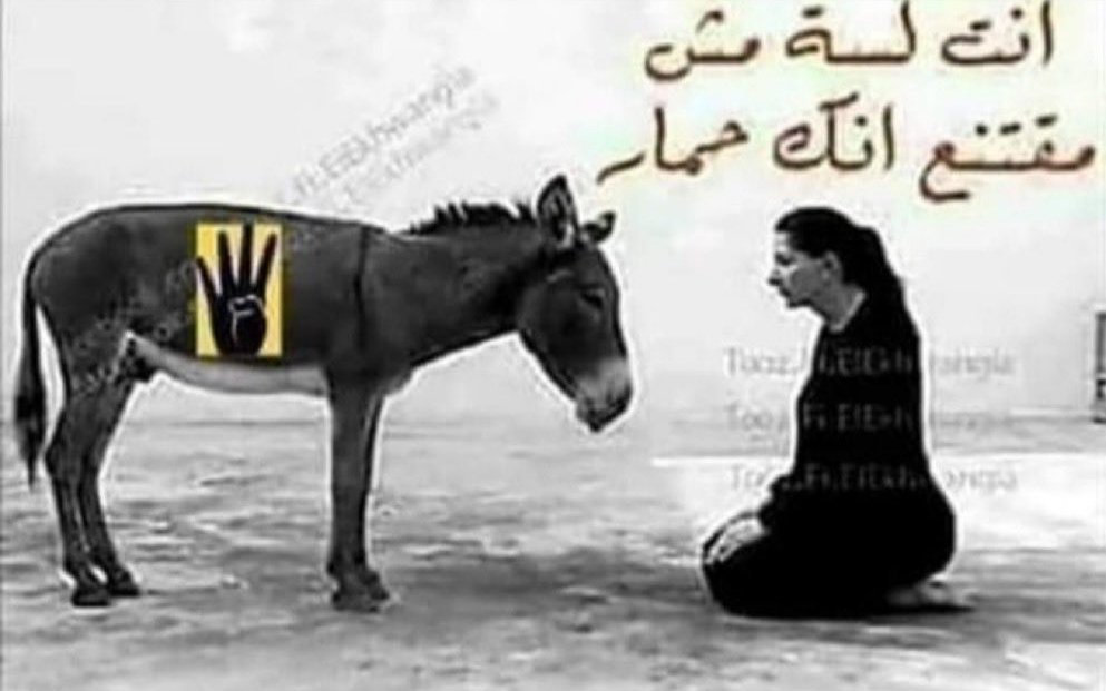 nashaat doud tweet media
