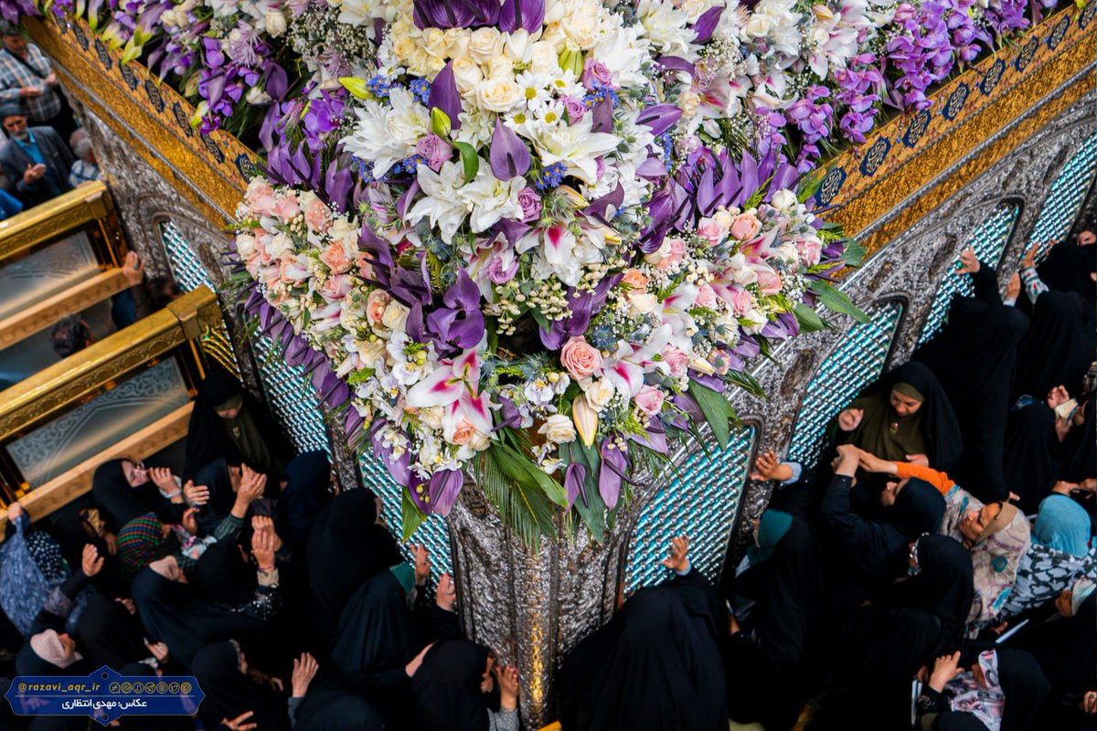 Mis_zargar tweet media