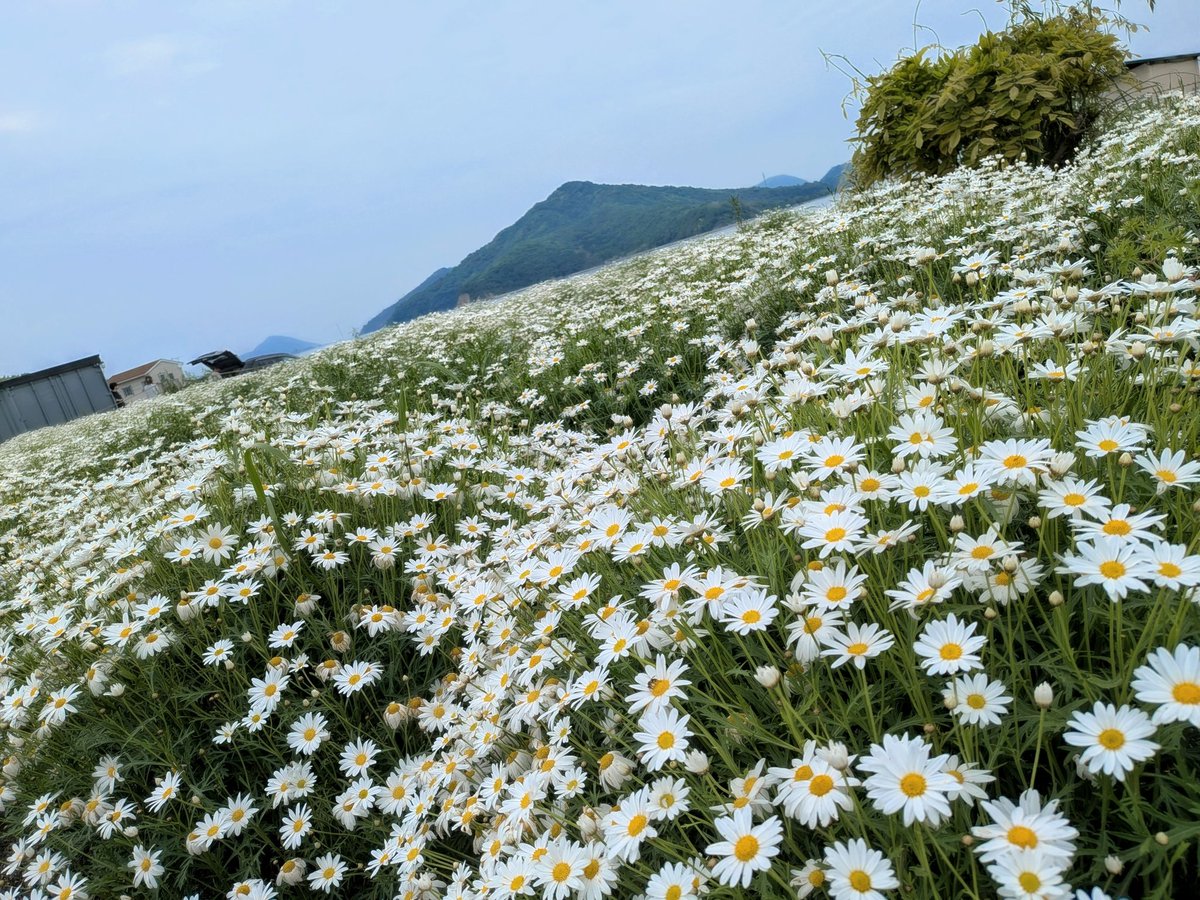 あっちゃん先生@妻を大好き過ぎる夫 tweet media