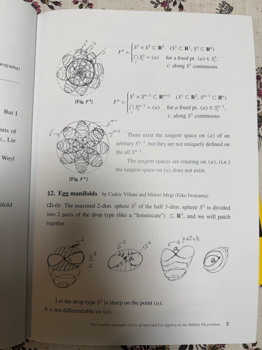 EikoIwayama's tweet photo. The opposite examples of Lie groups in the Hilbert 5th.problem.
私の著書よりの抜粋です。リー群の反例です。アブストラクトの前の部分です。#日本数学会、#PrincetonUnv ,
#ClayMathInst, #LMS,
#SFM, #AMS. #片山さつき大臣、#松本洋平大臣 😊🖊️📚🐢🐇 https://t.co/VjGZMccNZz