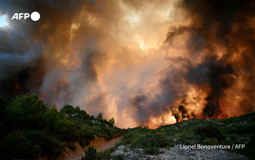 AFP News Agency tweet media