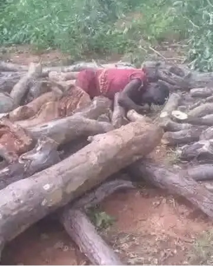 Masaku tweet media