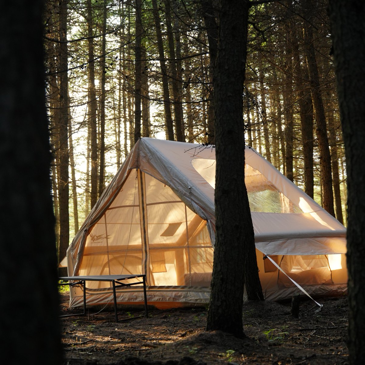 brian0gg's tweet image. Just need a small break outside today. you feel that?

pakicetus.net

#camping #campingtents #inflatabletents #popuptents #tentstore #tentshop