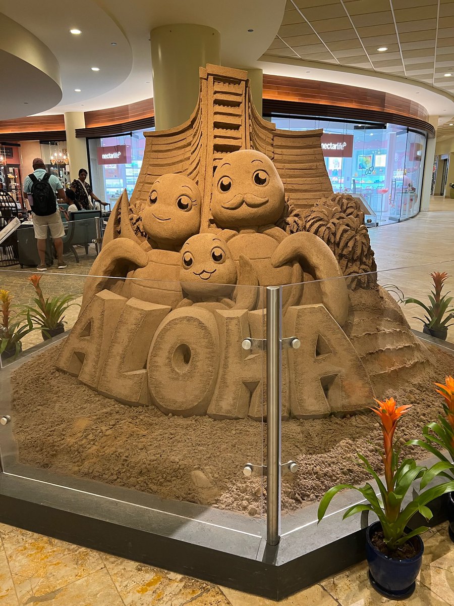 KodomoEigo_0304's tweet image. 【シェラトン・ワイキキ】

結婚式で宿泊💍 天気もビューも最高で、大満足！🌺

ワイキキの中心でアクセスが良く、
のんびり過ごせるのも魅力。 特別な日にぴったりのホテルでした！

#Hawaii #SheratonWaikiki