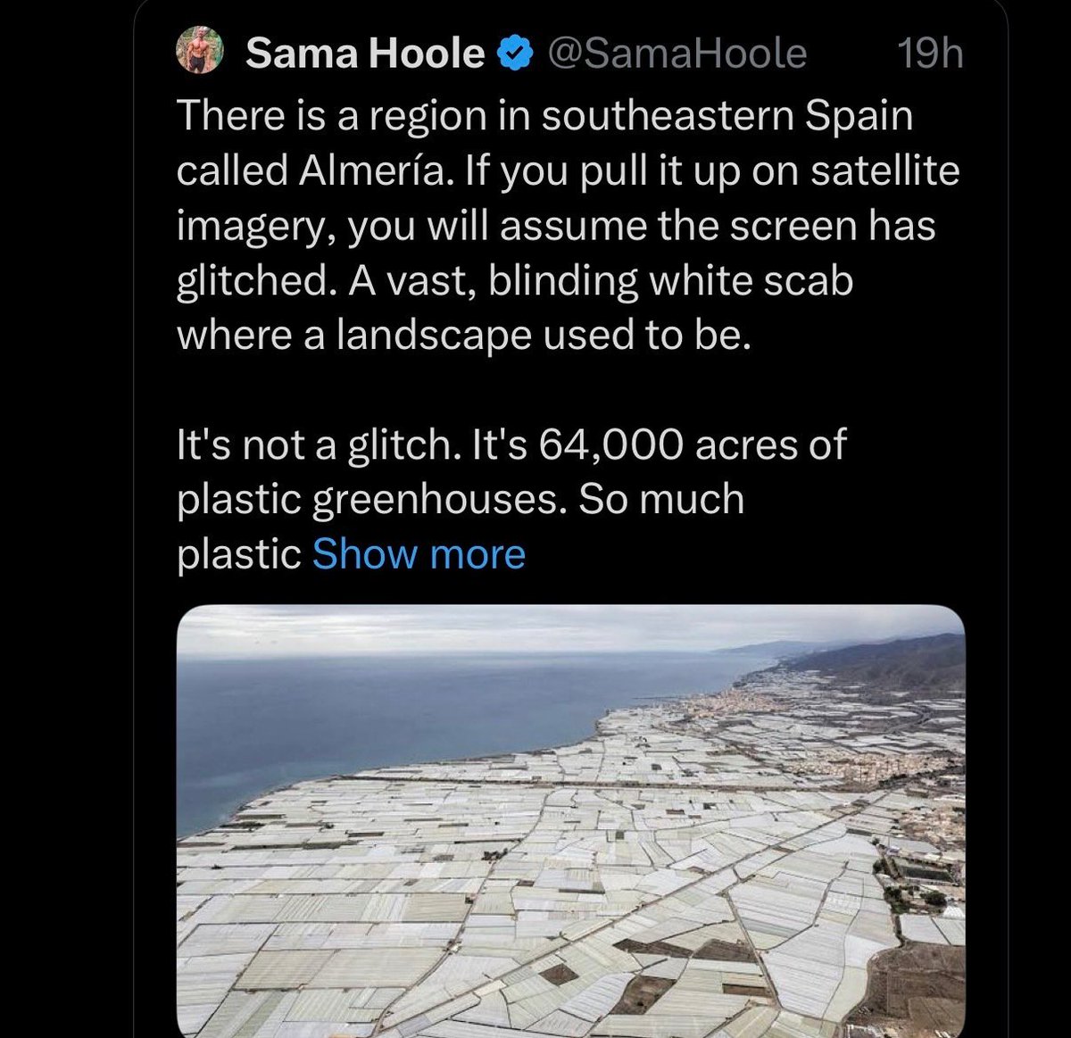 Malcolm Roberts 🇦🇺 tweet media