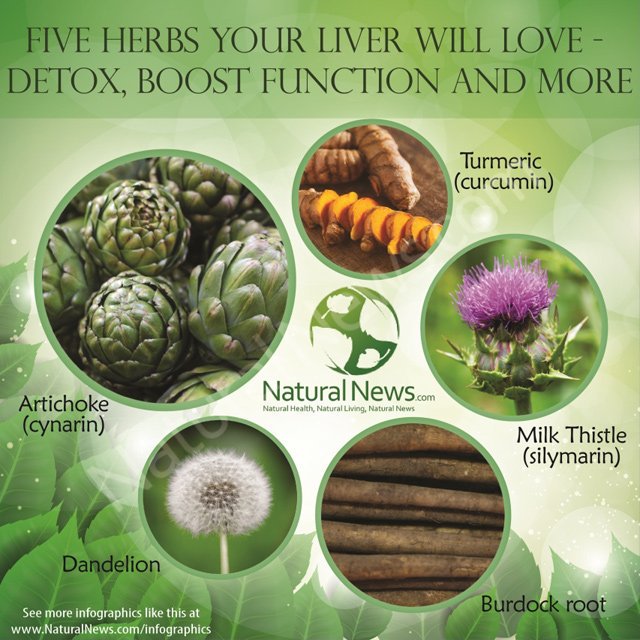 drkasenene's tweet image. Anyone who really needs to cleanse or detox their liver should consider use of these 5 herbs whether in natural form or as a supplement. 

-Dandelion 
-Turmeric 
- Milk thistle 
-Artichoke
- Burdock root

#health #detox #cleanse