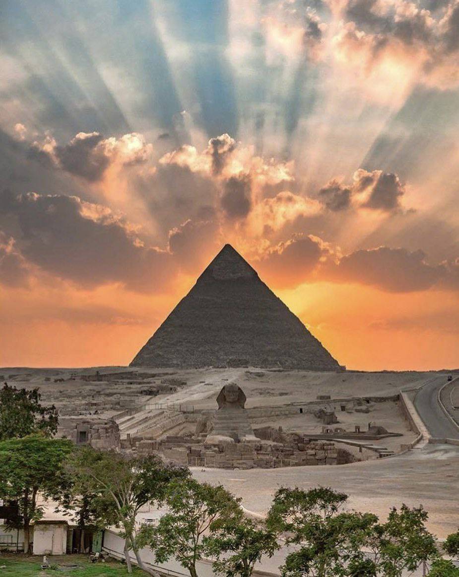 occultbot tweet media