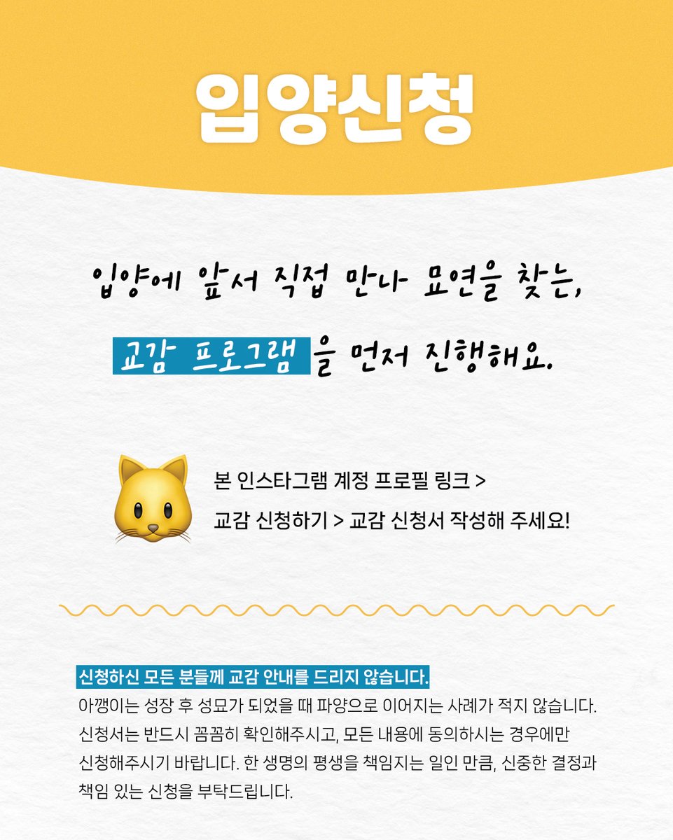 kopc2005's tweet photo. [입양홍보] 치즈 아깽이 군단 등장! 5남매의 가족을 찾습니다!
https://t.co/AW5XhZCqx0 https://t.co/2PMLA3m66H
