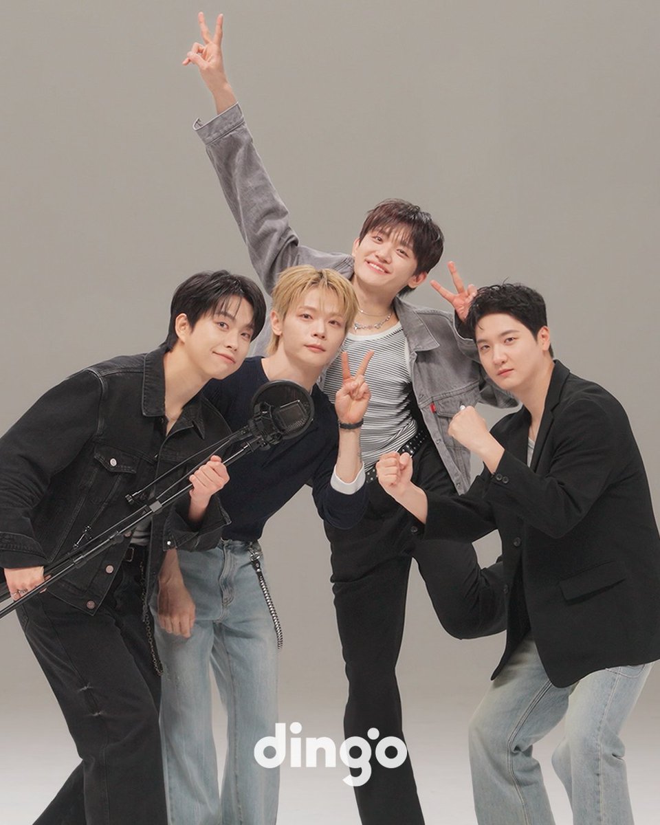 dingo(딩고) tweet media