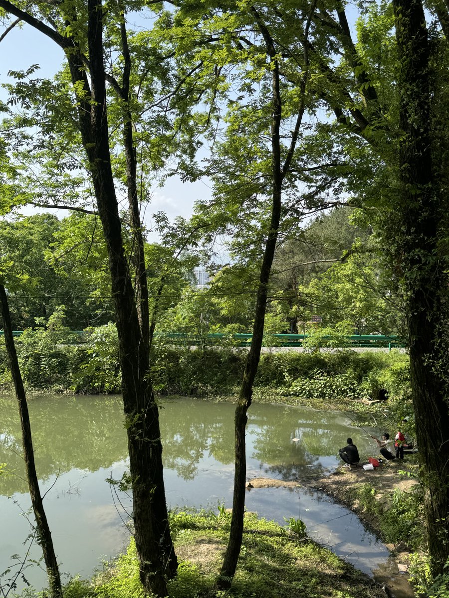 mumuniel's tweet photo. 又开始下雨，身体跟草地一样浸得软烂黏腻，干什么都提不起精神，我需要太阳！！ https://t.co/Kg02moY2tk