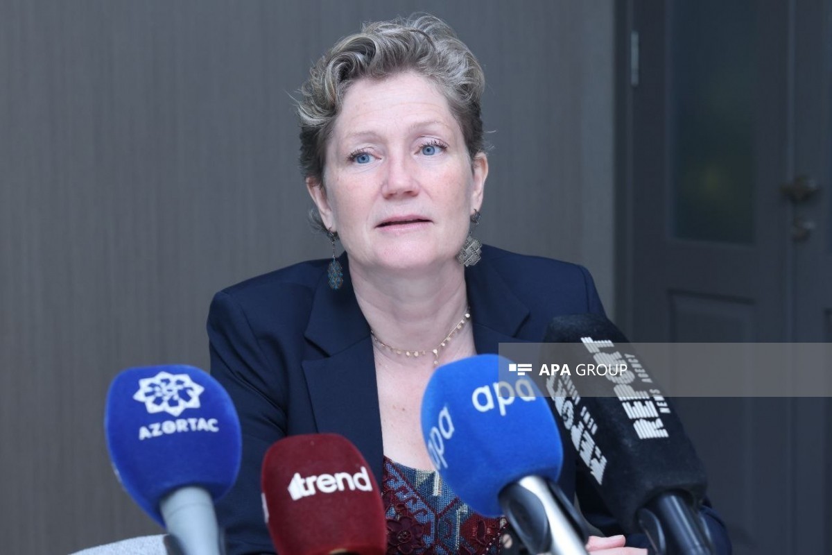 APA News Agency tweet media