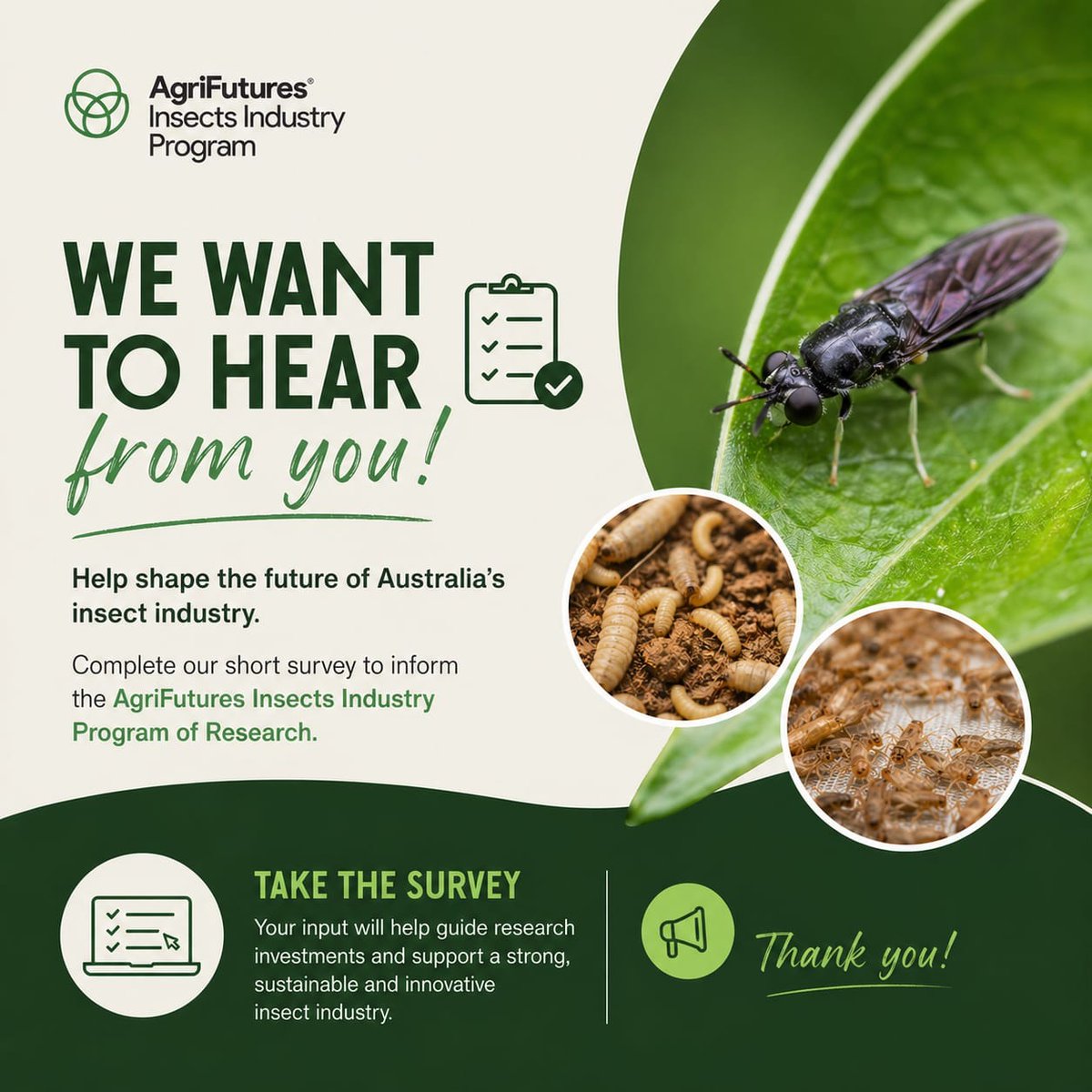 AusInsect's tweet photo. Attention Australian insect producers!!

You are invited to participate in the research project described below.

https://t.co/cgzkYXRxk4 https://t.co/J2b8IIh1Wp