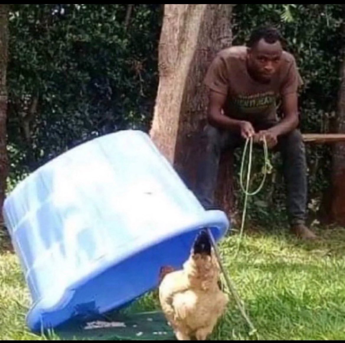 Christopher tweet media