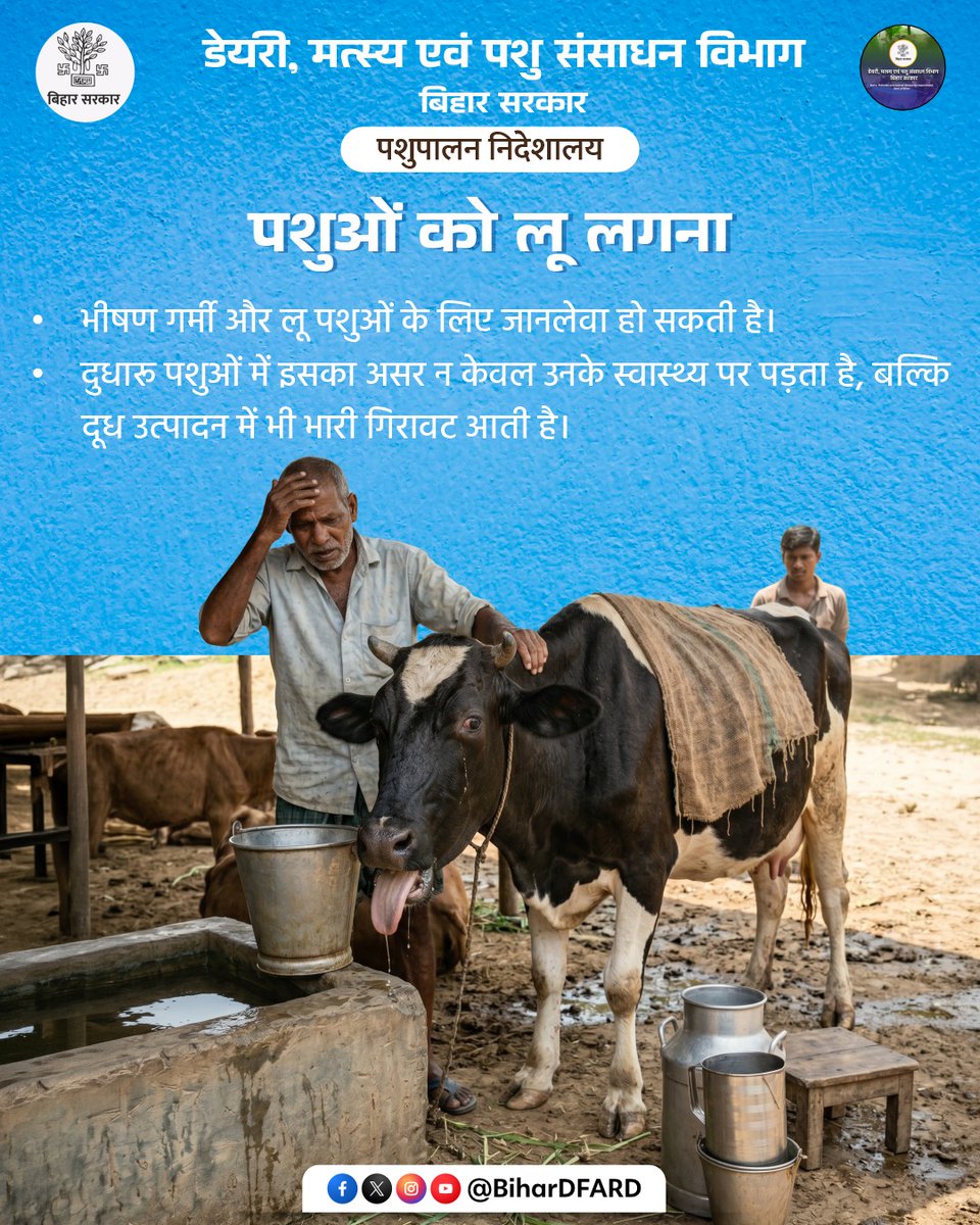 BiharAFRD's tweet image. पशुओं को लू लगने पर क्या हो सकता है।
@Kapil_IAS
@IPRDBihar
@Agribih
@Dept_of_AHD
@HorticultureBih
#comfed
#dairy
#pashupalak
#fish
#fisheries 
#BiharAnimalAndFisheriesResourcesDept