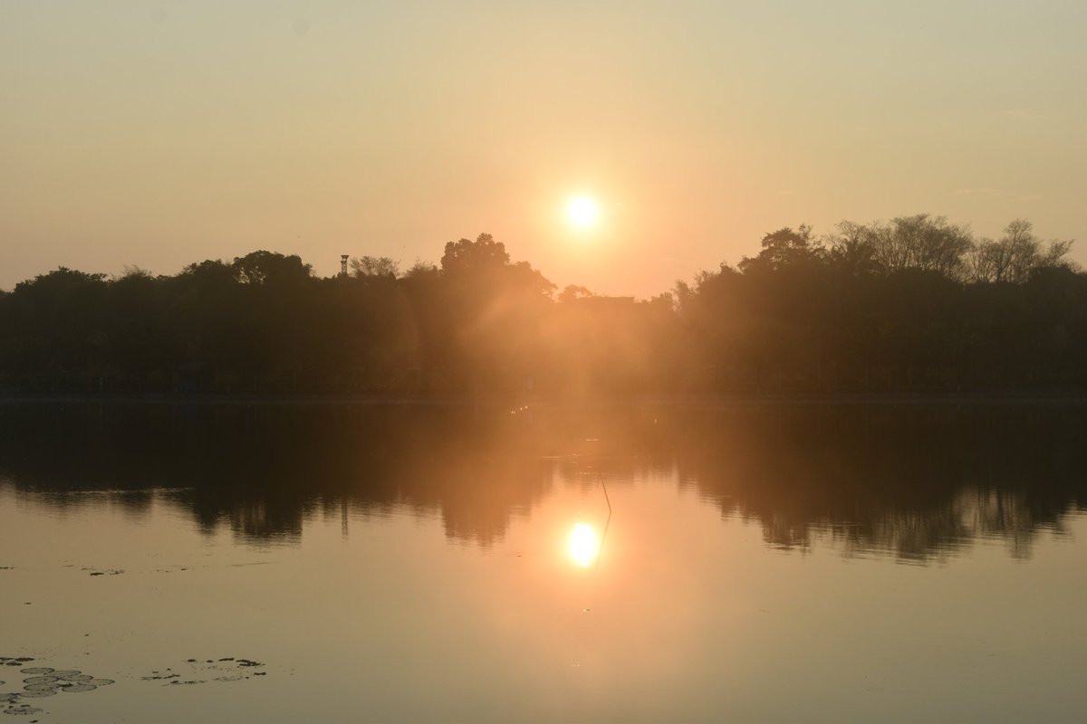 Cerberane's tweet image. More Lovely views from one of my morning #walks around อ่างเก็บน้ำหนองบัว in late February 
วิวสวยๆ จากการเดินเที่ยวรอบๆ อ่างเก็บน้ำหนองบัวช่วงปลายเดือนกุมภาพันธ์
#butterfly 
#sunrise 
#lake 
#nature
#naturelovers
#naturephotography