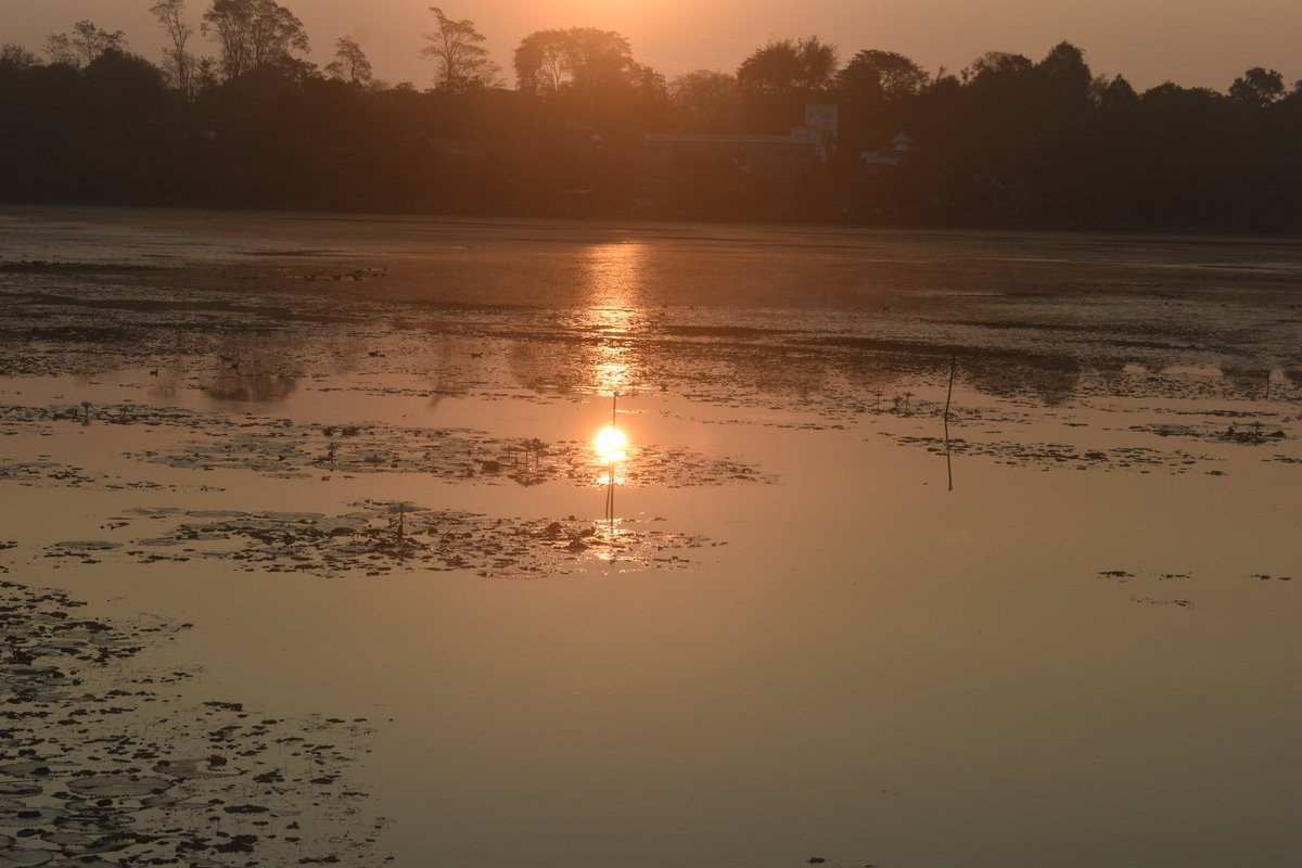 Cerberane's tweet image. More Lovely views from one of my morning #walks around อ่างเก็บน้ำหนองบัว in late February 
วิวสวยๆ จากการเดินเที่ยวรอบๆ อ่างเก็บน้ำหนองบัวช่วงปลายเดือนกุมภาพันธ์
#butterfly 
#sunrise 
#lake 
#nature
#naturelovers
#naturephotography