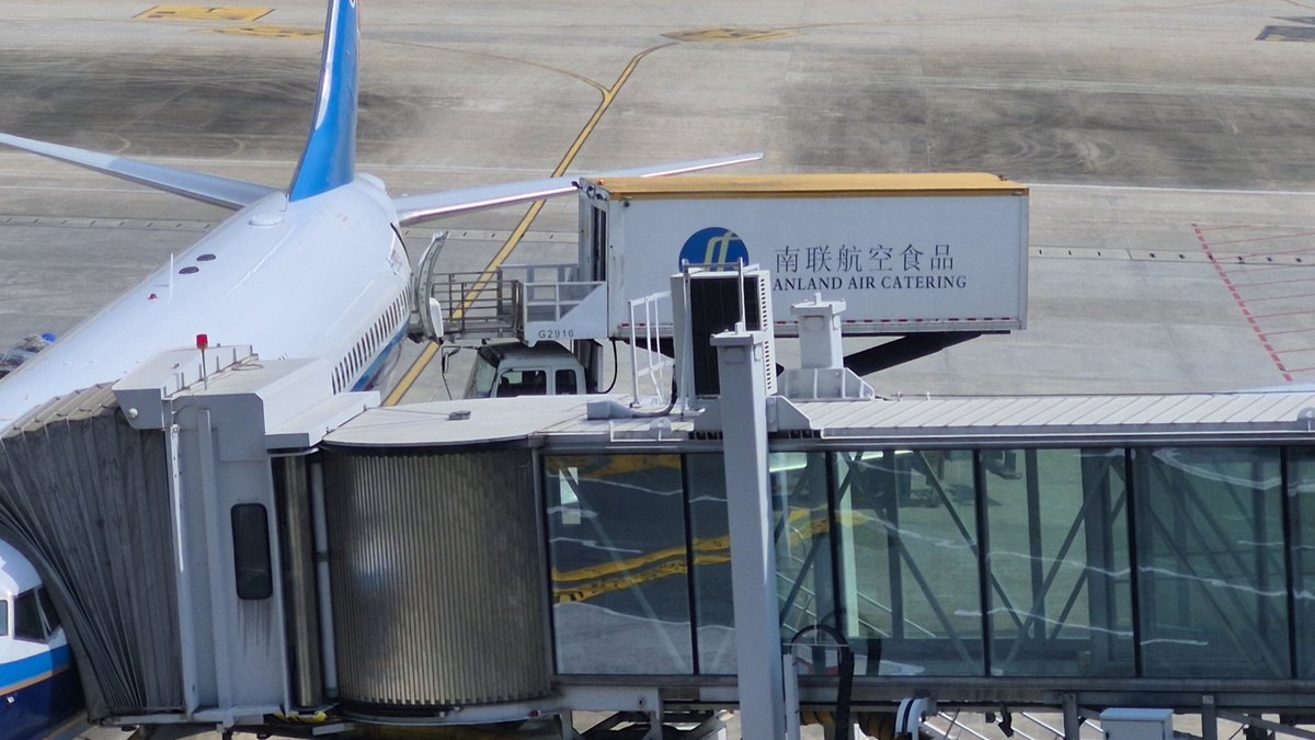 泰格🐨 tweet media