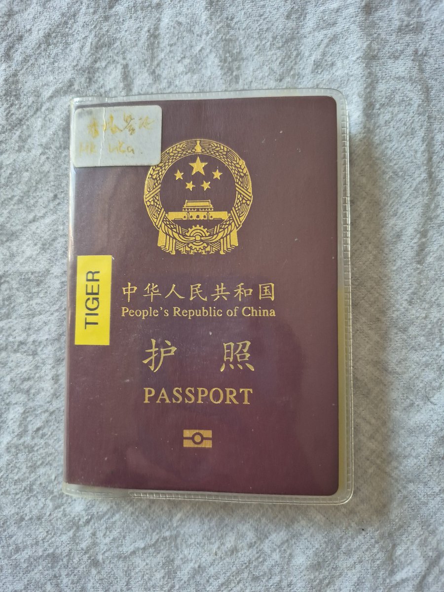 泰格🐨 tweet media