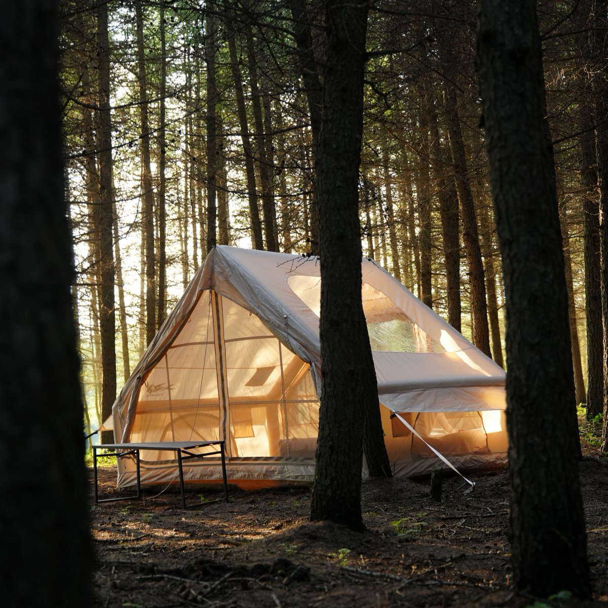 VikasRullakheri's tweet image. A simple outdoor setup can be enough. agree?

pakicetus.net

#camping #campingtents #inflatabletents #popuptents #tentstore #tentshop