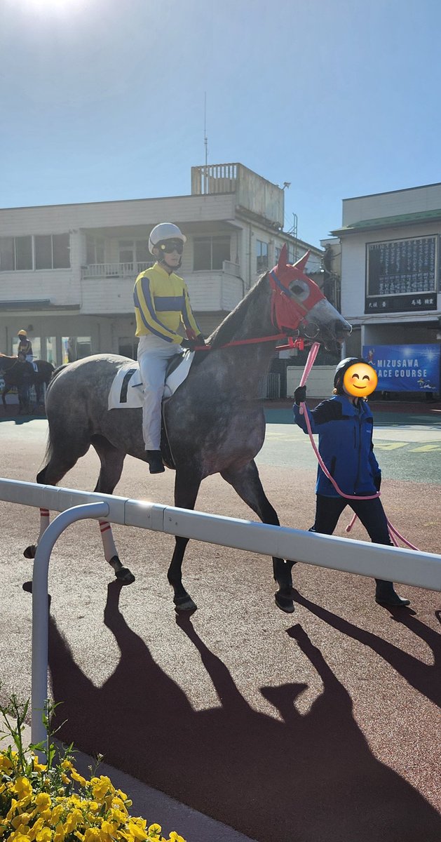 ゆきまろ tweet media