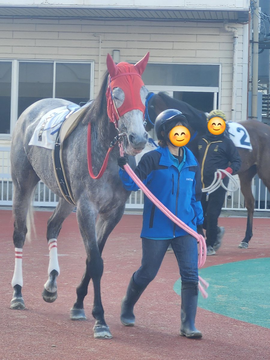 ゆきまろ tweet media