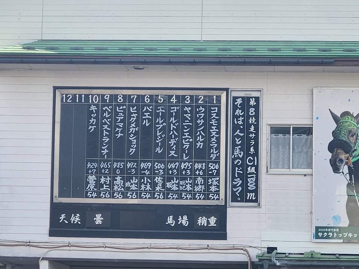 ゆきまろ tweet media