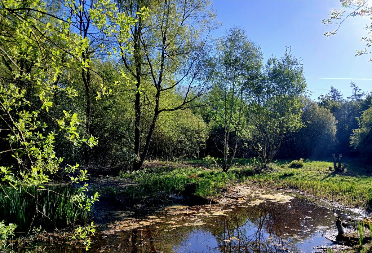 johnwxxiv's tweet photo. #johnwswalks tmmy view now #Penningtonflash #nationalnaturereserve #leigh https://t.co/8qBwf693Kk