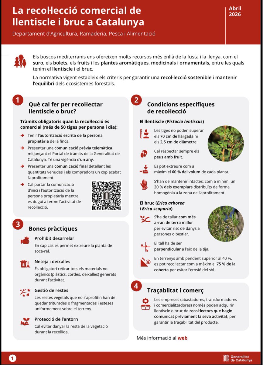 ADF175Esparregu's tweet image. @agentsrurals_cat @forestaldiba @sfadfcat @radioesparreguera @esparreguera #Adf #somterritori #llentiscle